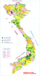 Map of coffee production in Vietnam