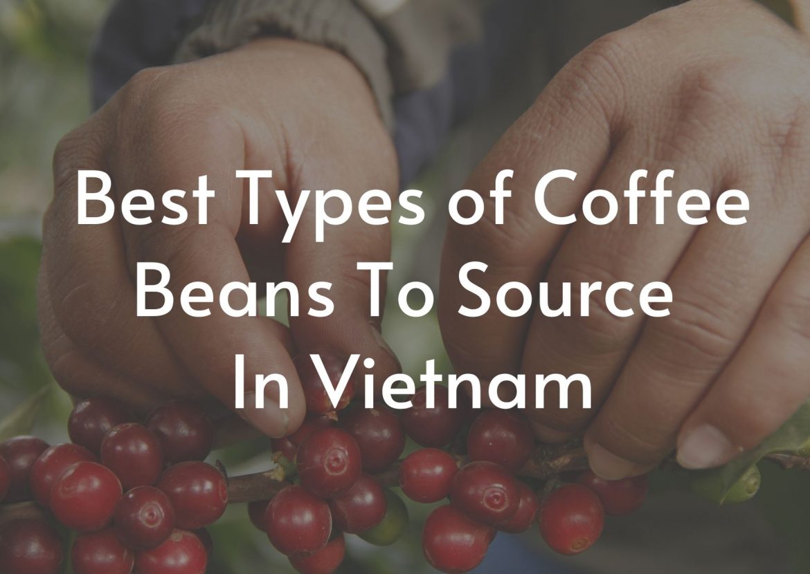 Best-Types-of-Coffee-Beans-To-Source-In-Vietnam
