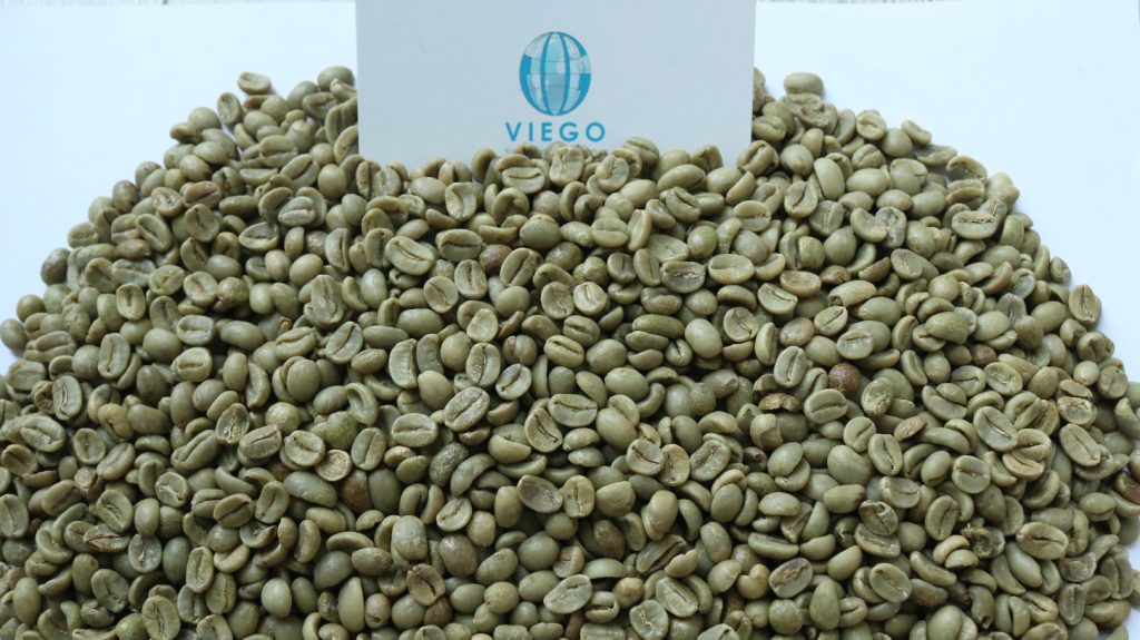 Vietnam Arabica green coffee beans