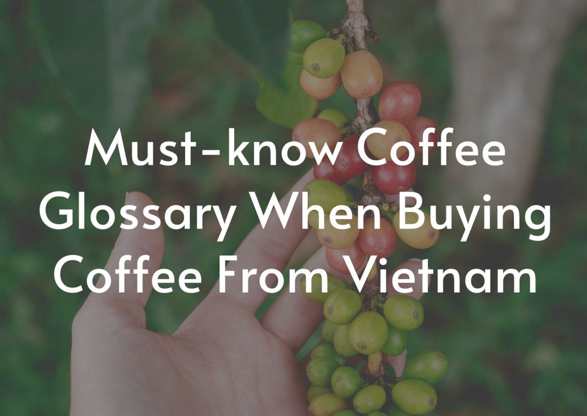 Vietnam coffee beans, green coffee beans from Vietnam