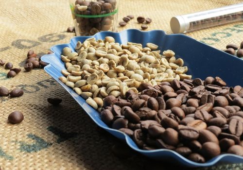 Quality-Certifications-you-Should-Keep-In-Mind-When-Buying-Coffee-From-Vietnam-1