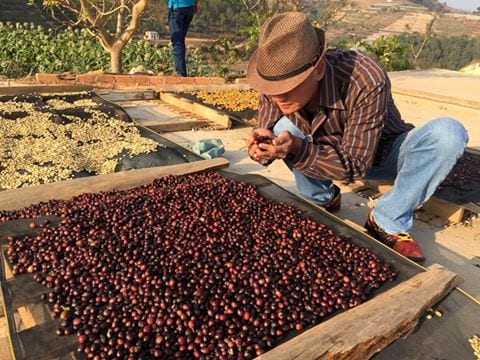 How do Vietnam define its specialty coffee?