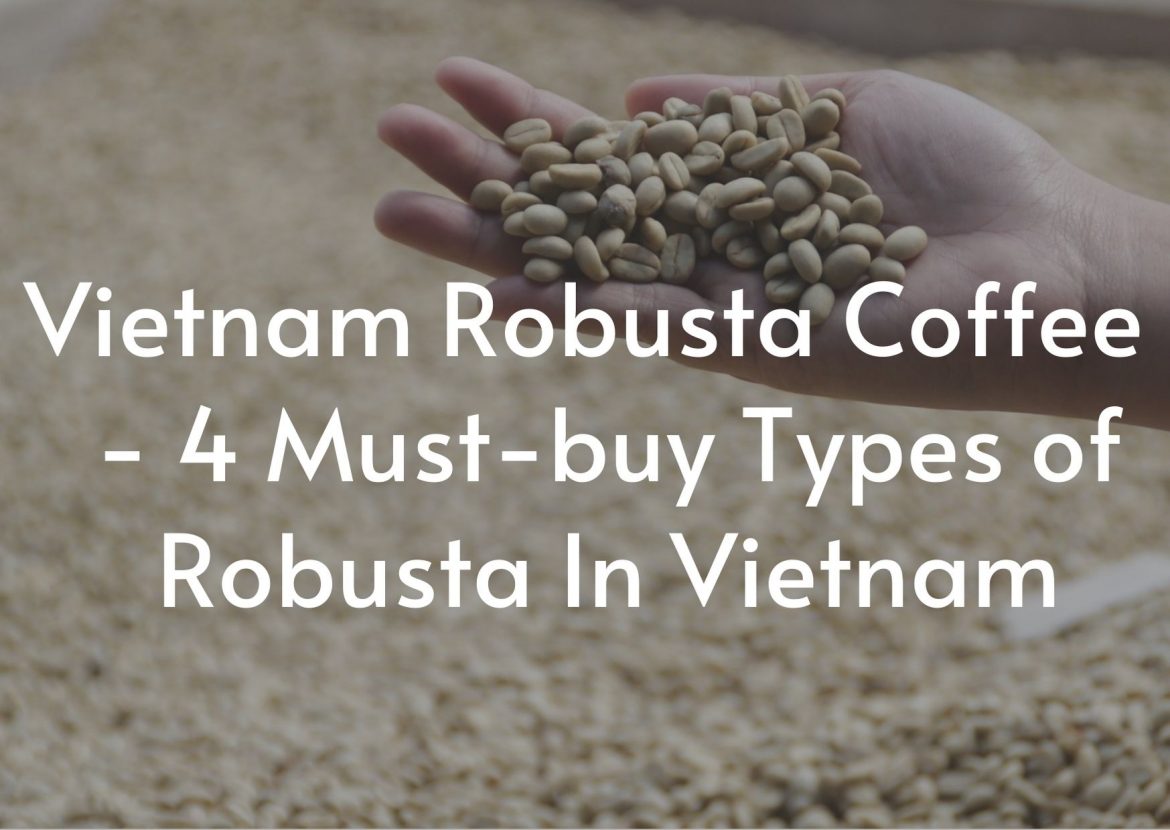 Vietnam-Robusta-Coffee-4-Must-buy-Types-of-Robusta-In-Vietnam