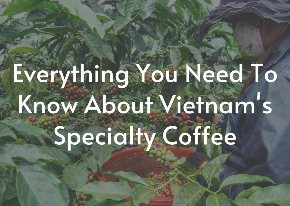 everything-you-need-to-know-about-Vietnams-Specialty-coffee