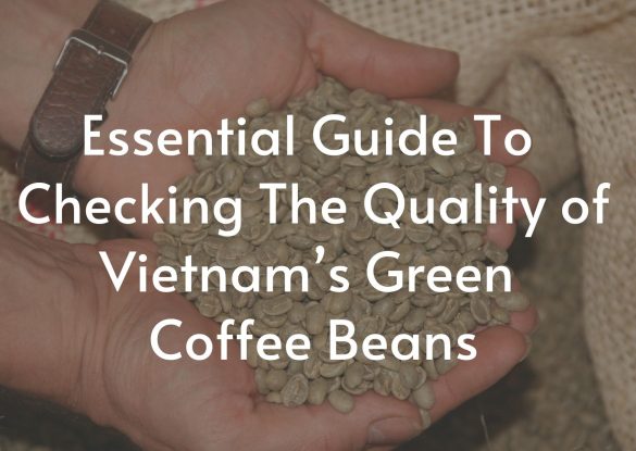Vienam-green-coffee-beans