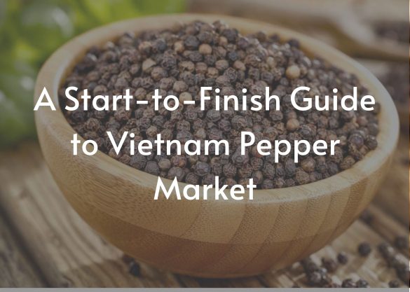 Vietnam Pepper Market