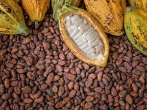 cocoa ingredient in slim coffee