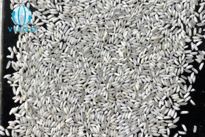 Vietnamese Rice: The In-depth Guide To Vietnam Rice Market