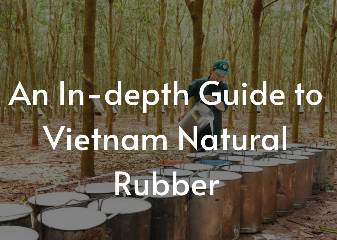 An In-depth Guide to Vietnam Natural Rubber 1