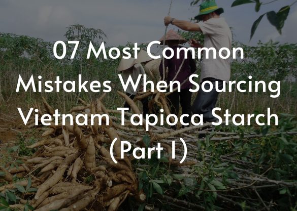 7 Most Common Mistakes When Sourcing Vietnam Tapioca Starch (6)