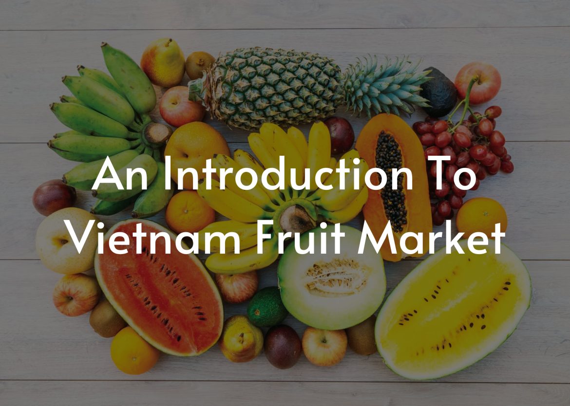 An-Introduction-To-Vietnam-Fruit-Market