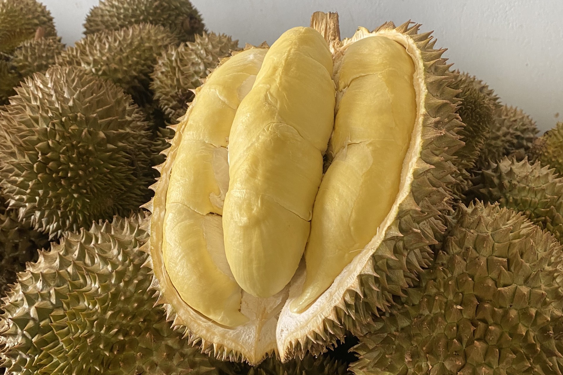 Vietnam-durian-fruit
