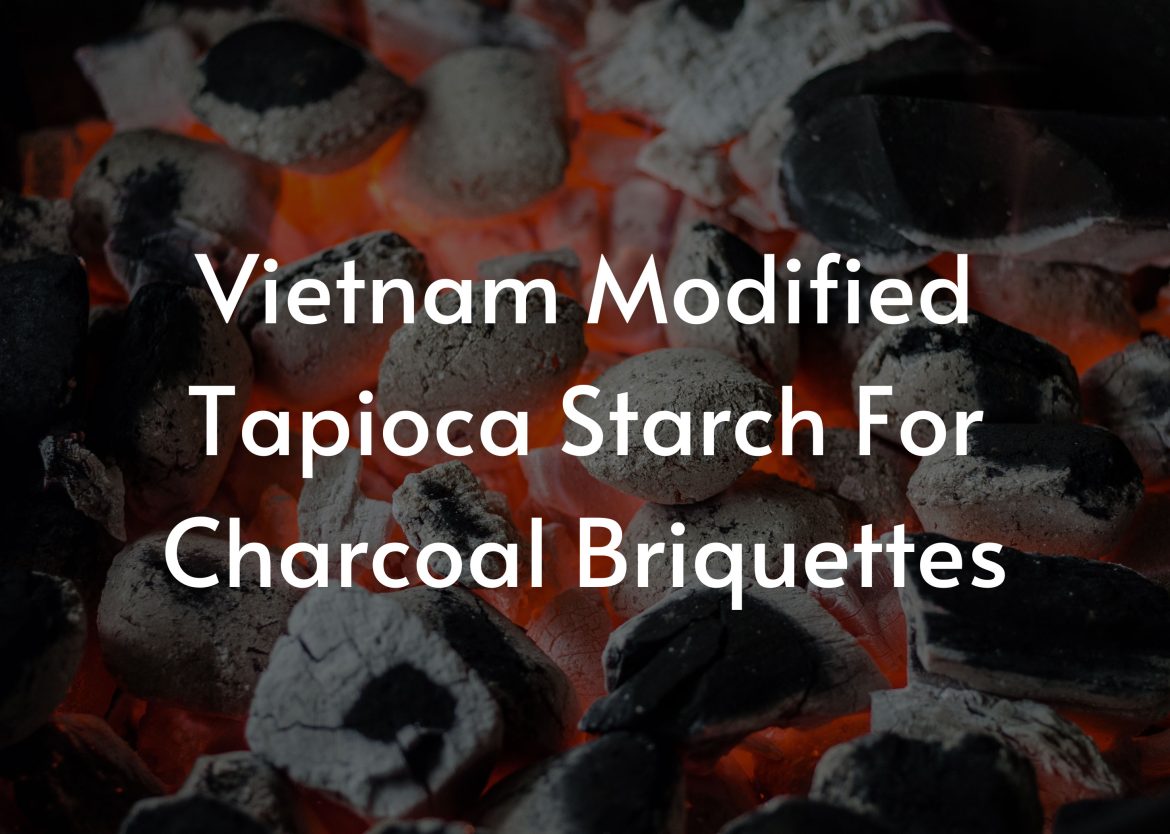 Vietnam-Modified-Tapioca-Starch-For-Charcoal-Briquettes