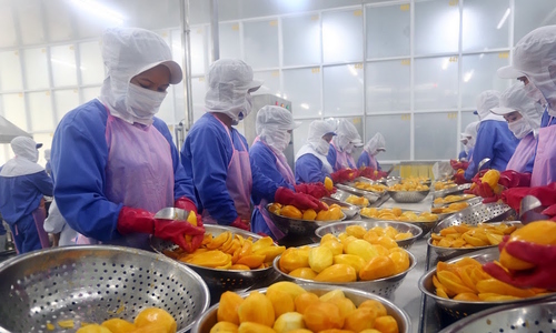 Vietnam-fruit-processing-factory