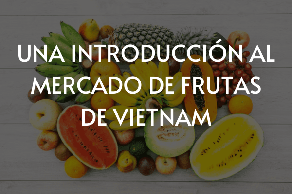 UNA INTRODUCCIÓN AL MERCADO DE FRUTAS DE VIETNAM - VIEGO GLOBAL