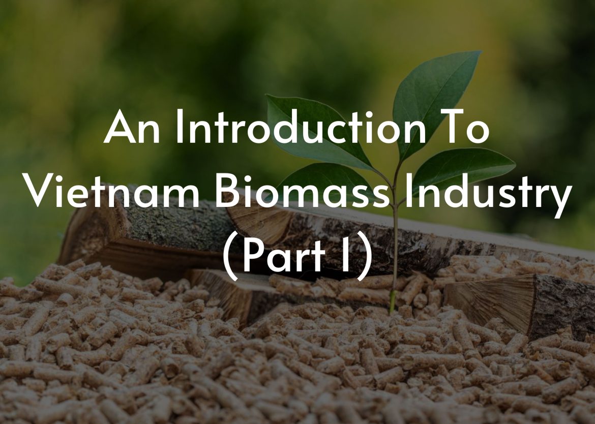 An-Introduction-To-Vietnam-Biomass-Industry-Part-1