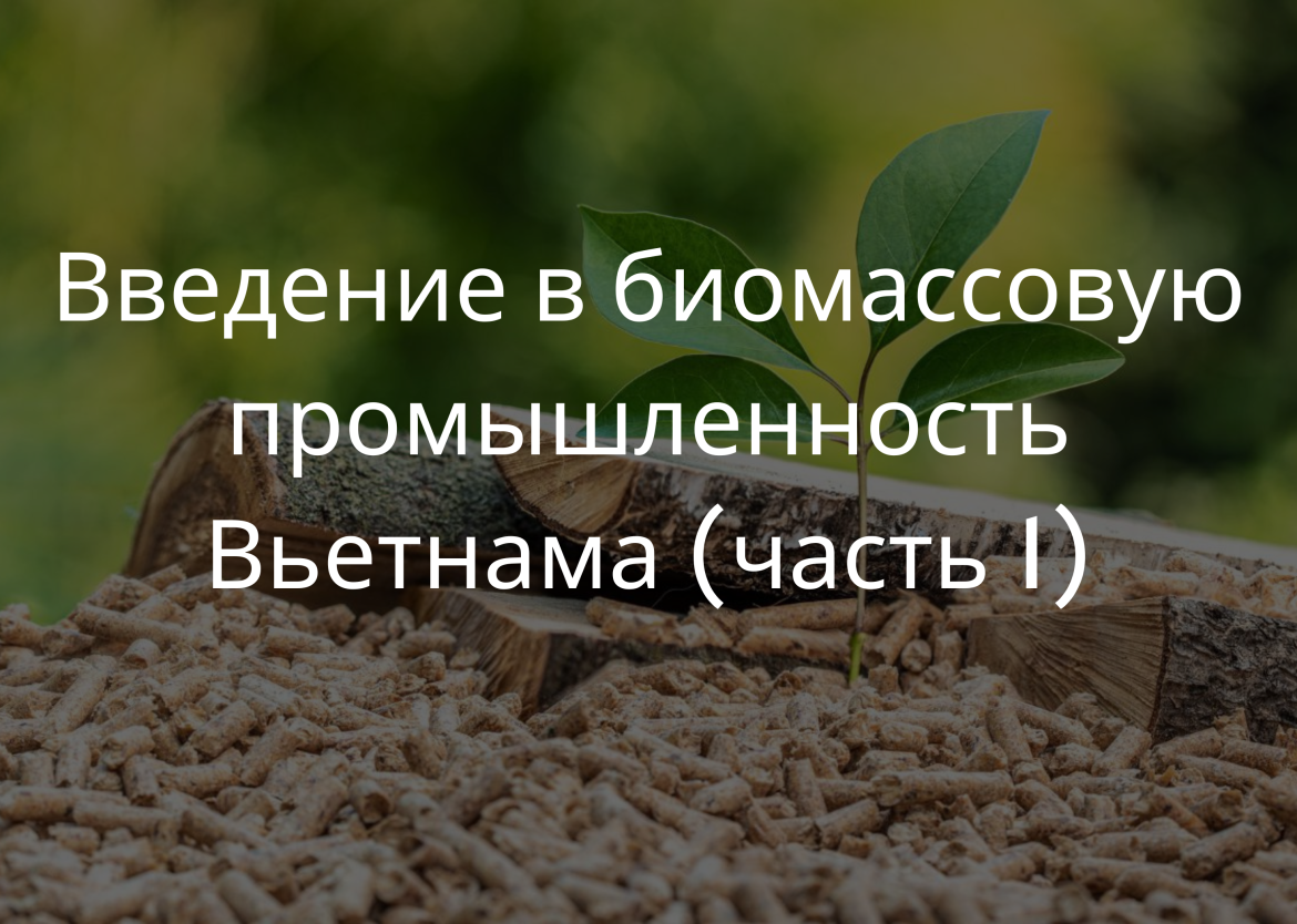 Введение в биомассовую промышленность Вьетнама (часть 1)
