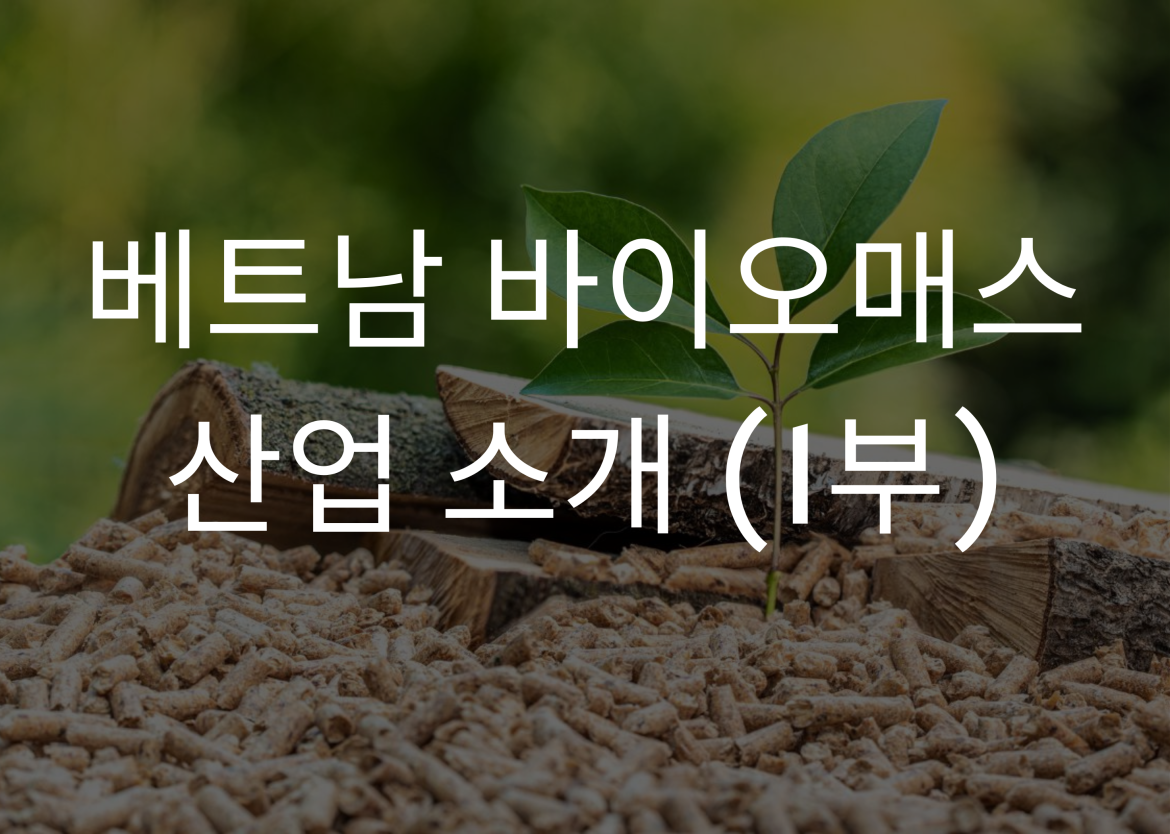 베트남 바이오매스 산업 소개 (1부)