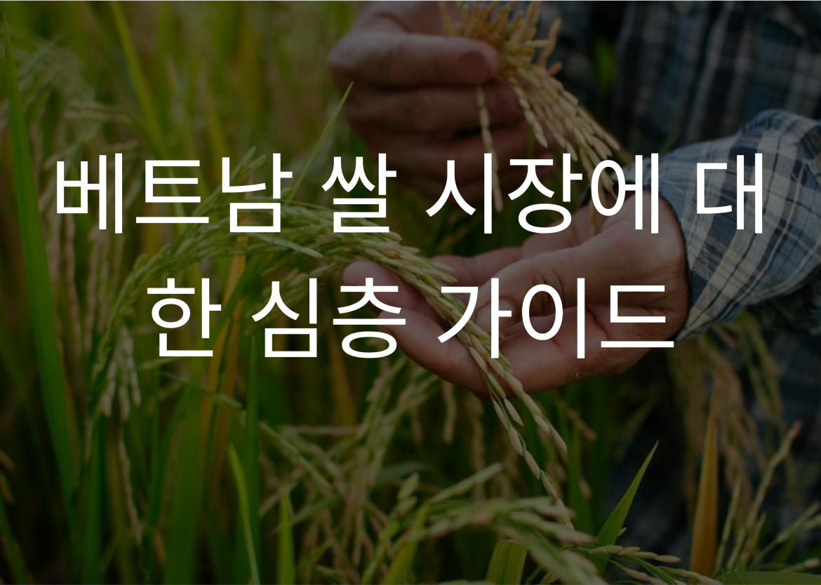 베트남 쌀 시장에 대한 심층 가이드
