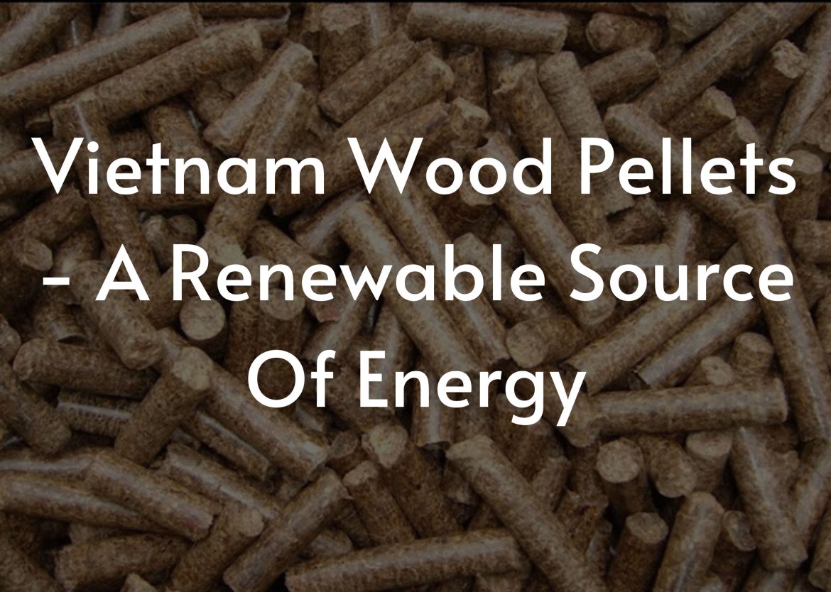 Vietnam-Wood-Pellets-A-Renewable-Source-Of-Energy