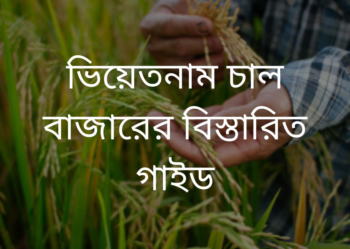 Feature Image for Viego Global (13)