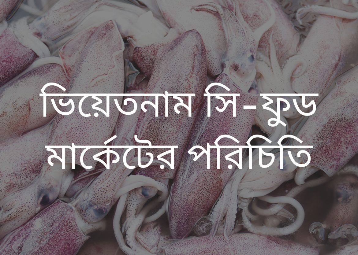 Feature Image for Viego Global (14)