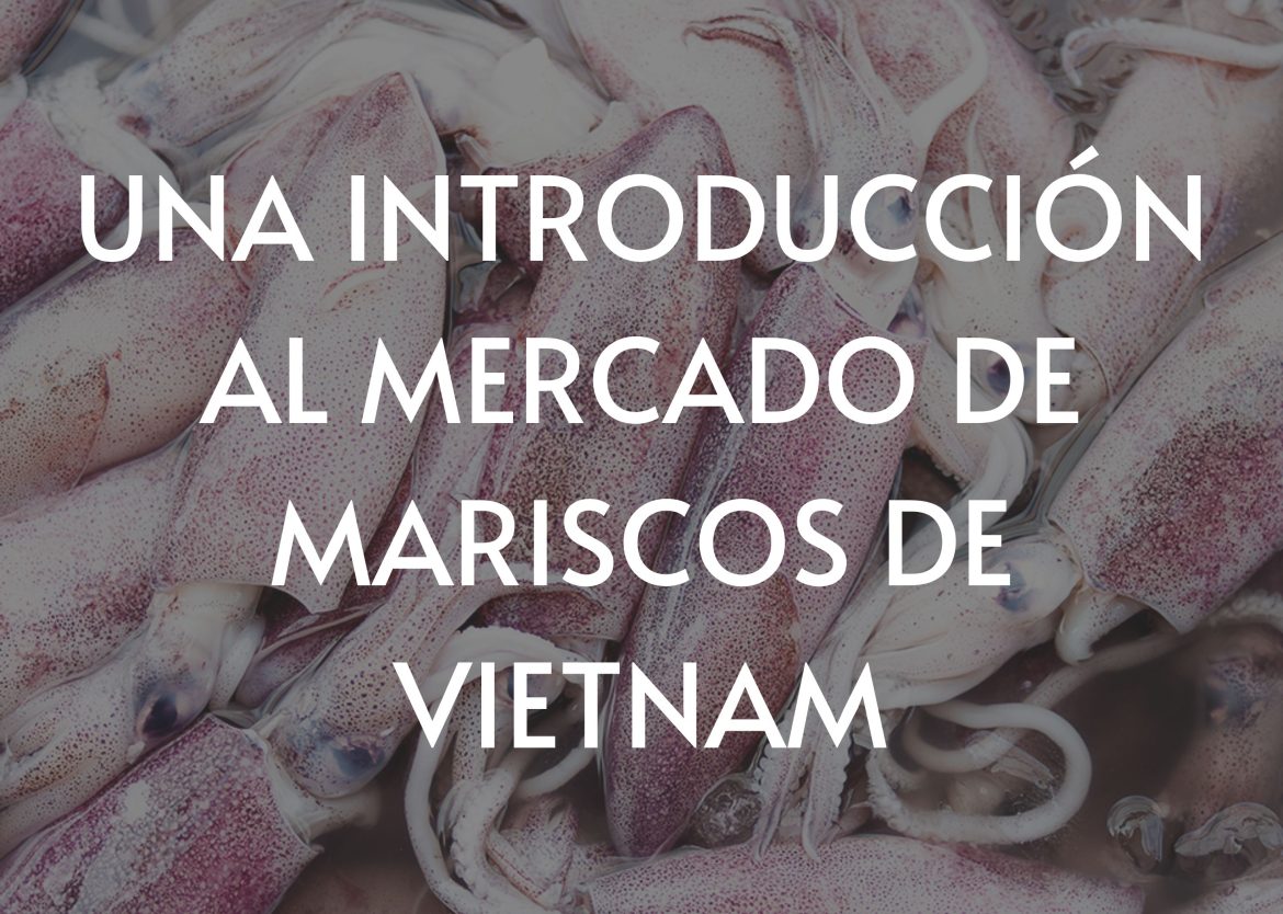 Feature Image for Viego Global (15)