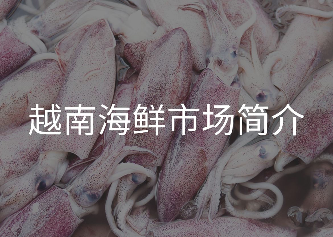 Feature Image for Viego Global (16)