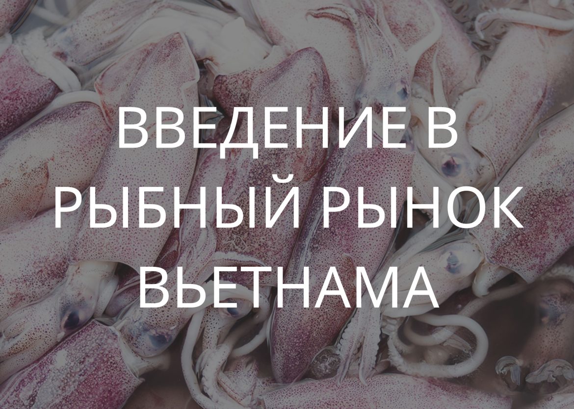 Feature Image for Viego Global (18)