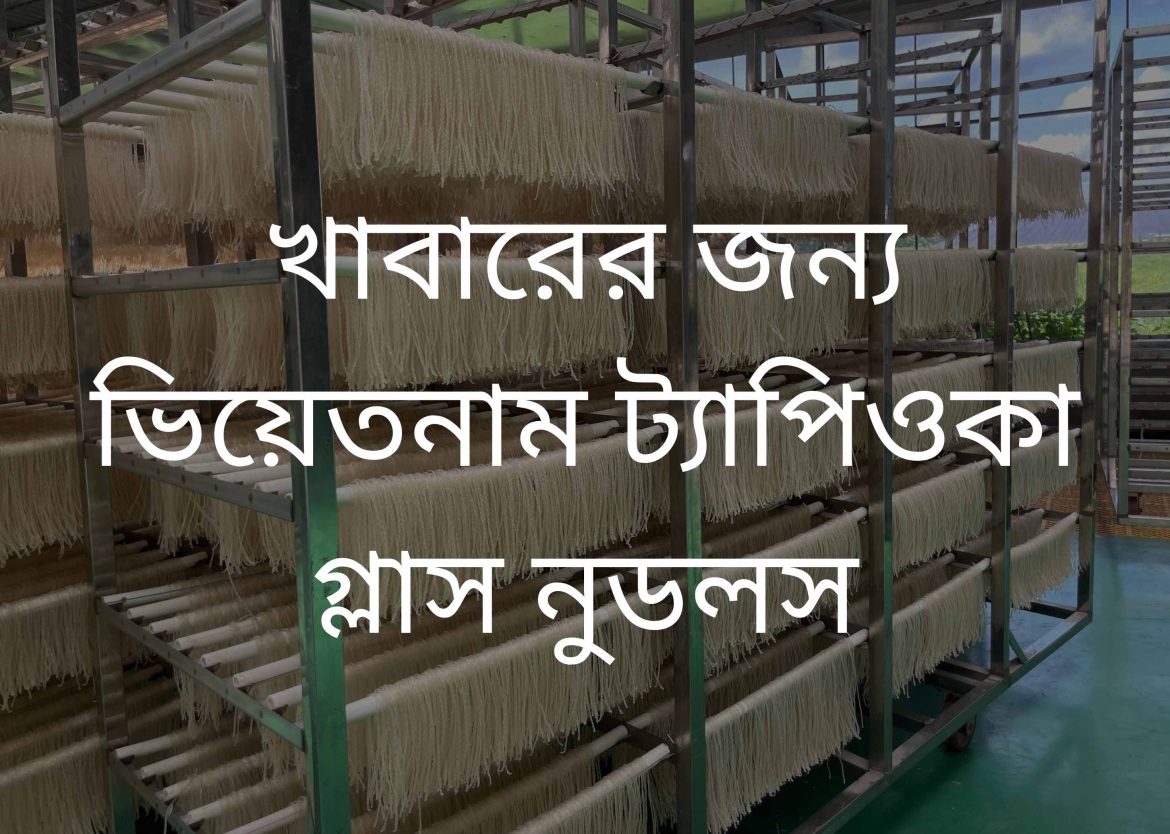 Vietnam-Tapioca-Glass-Noodle-resize