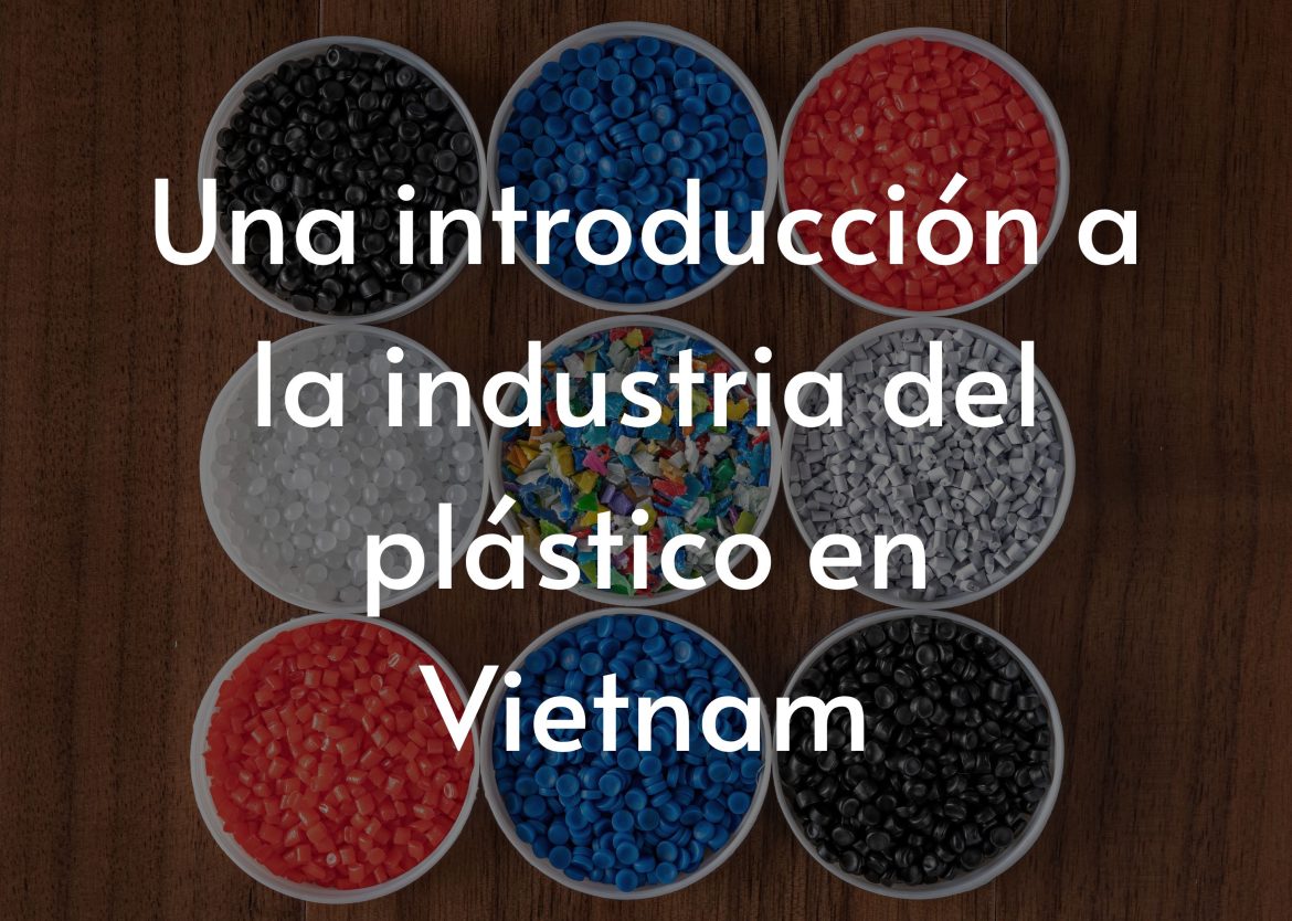 Feature Image for Viego Global (24)