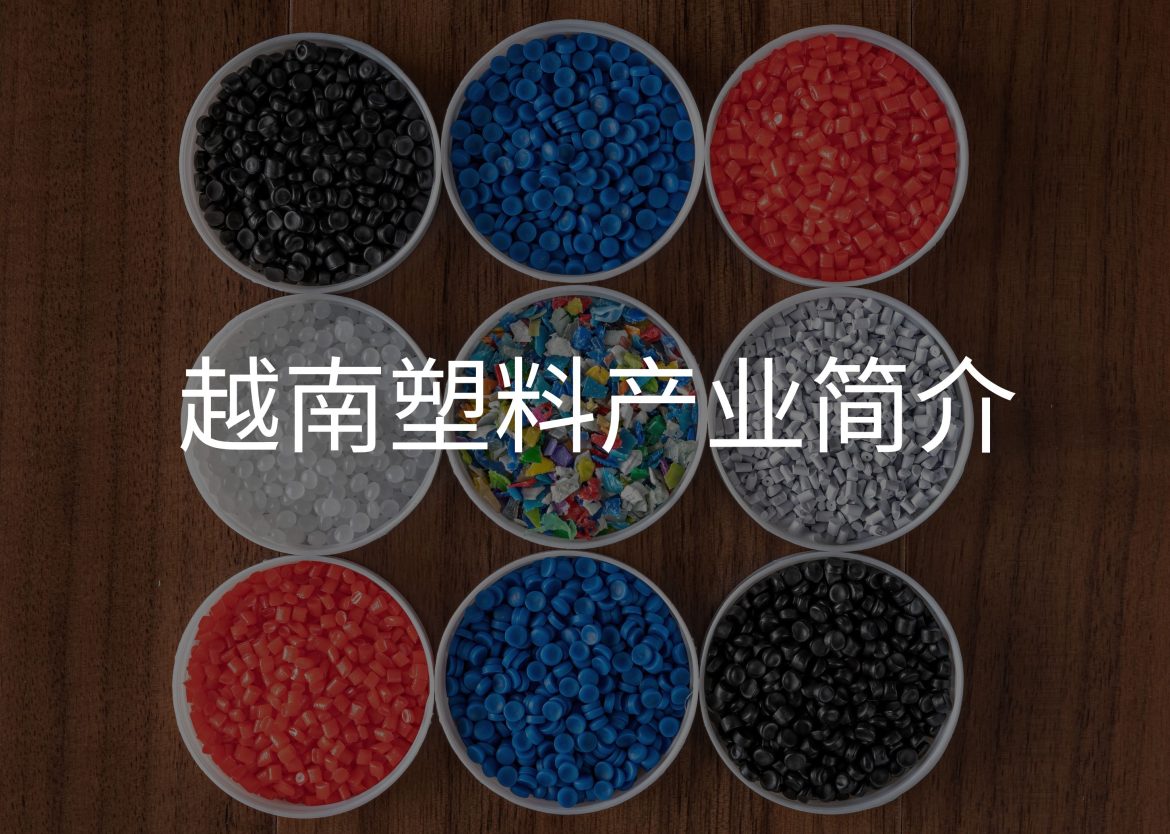 Feature Image for Viego Global (25)