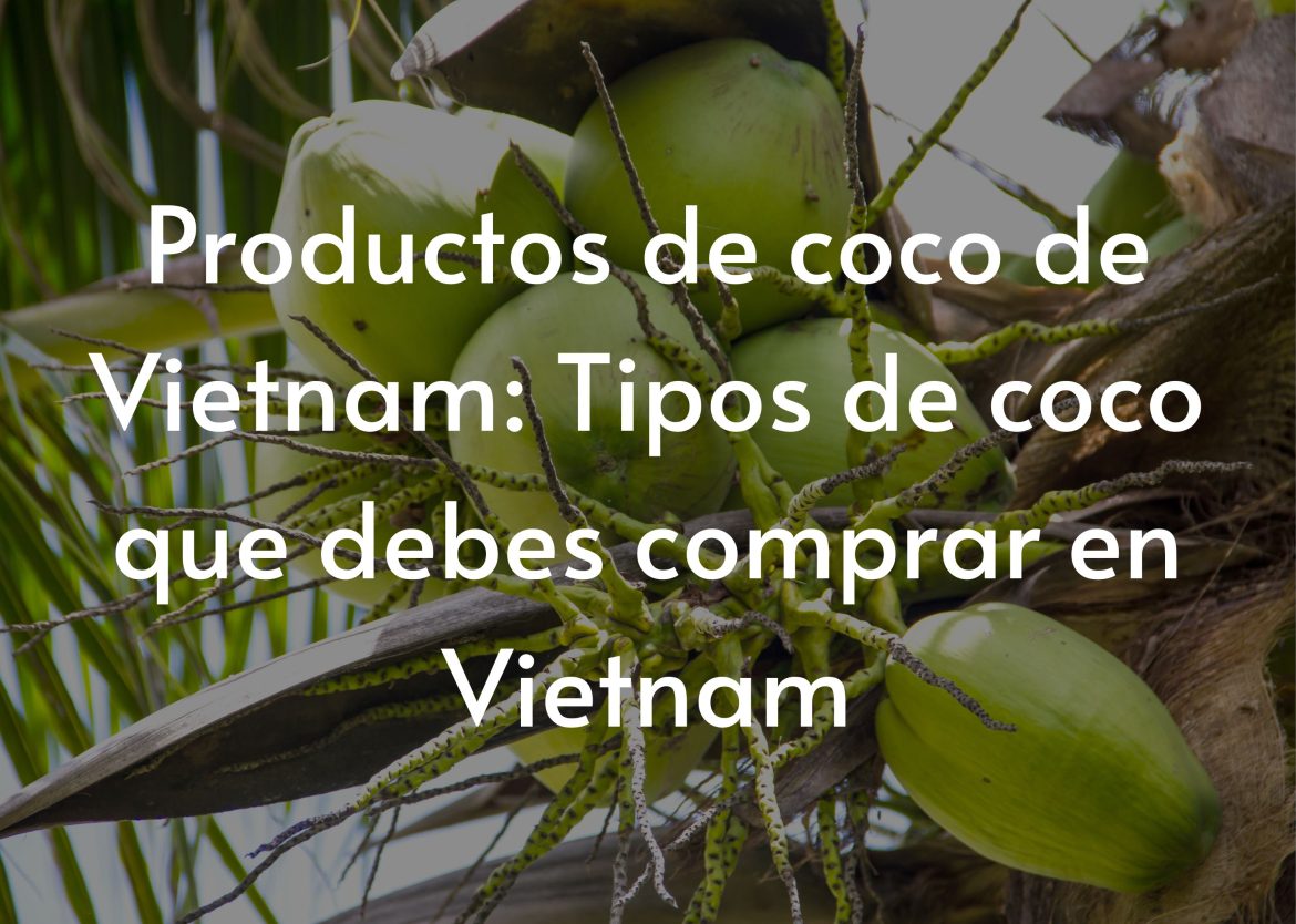 Feature Image for Viego Global (32)