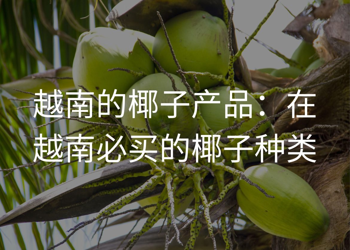 Feature Image for Viego Global (33)