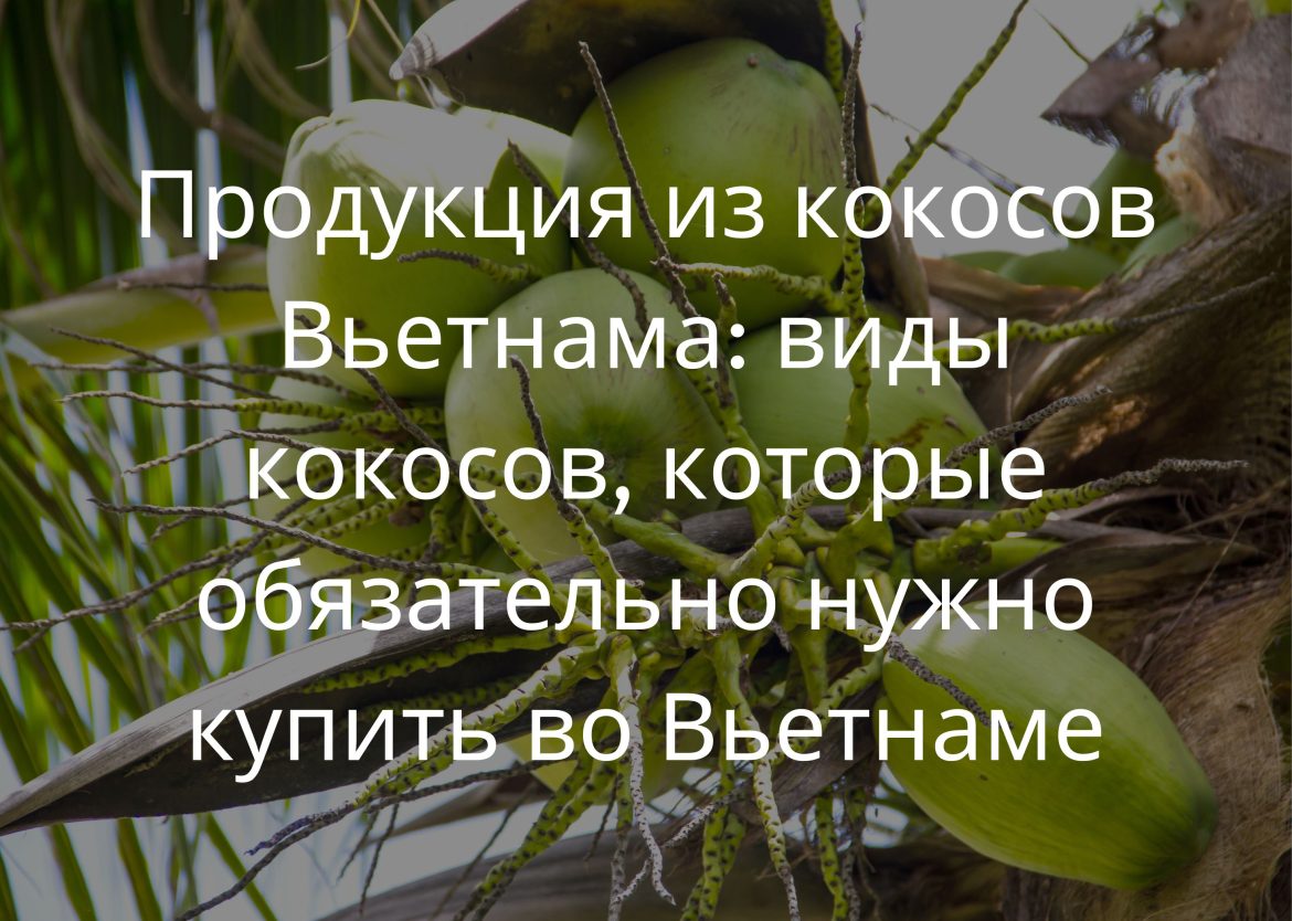 Feature Image for Viego Global (35)