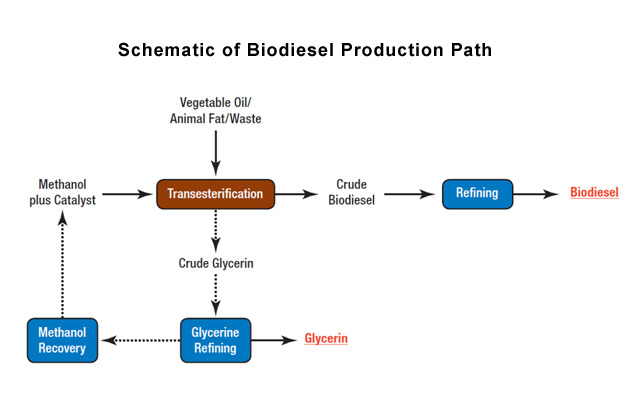 this is diagram conversion used cooking oil into biodiesel