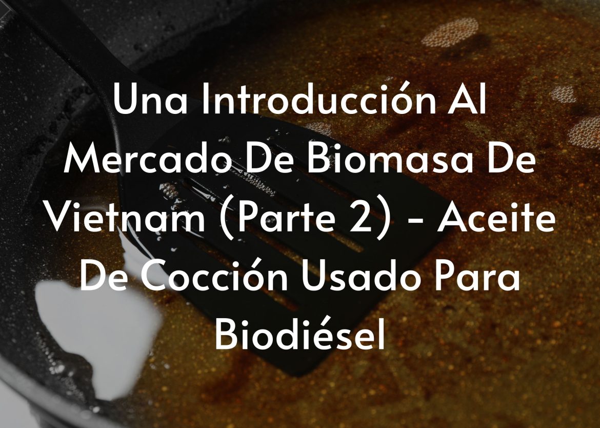 Feature Image for Viego Global (50)