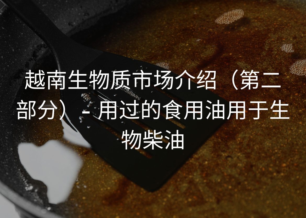 Feature Image for Viego Global (51)