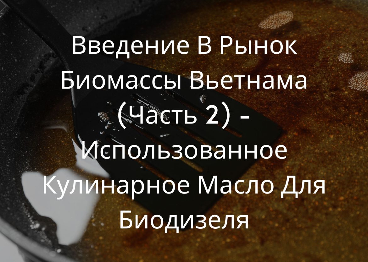 Feature Image for Viego Global (53)