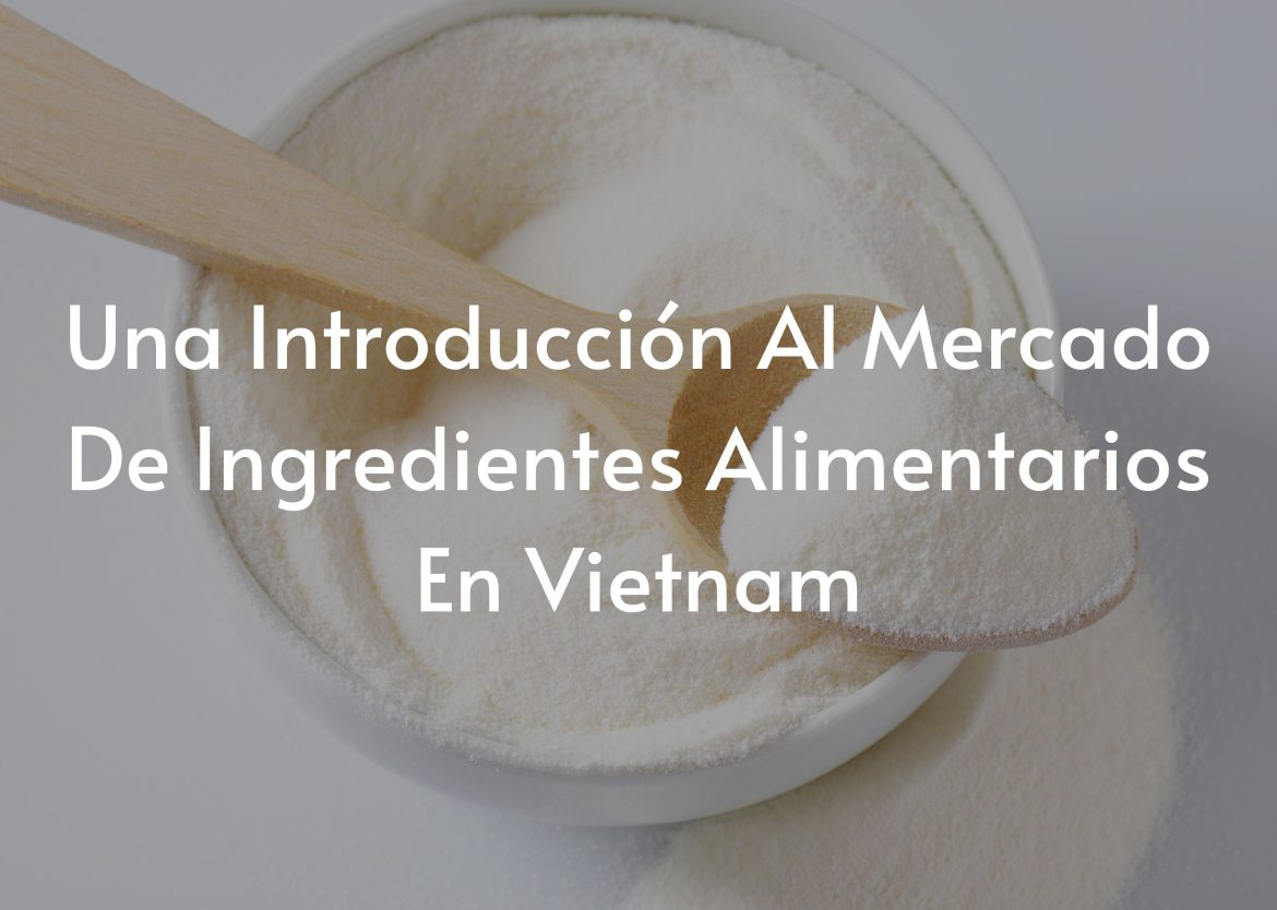 Feature Image for Viego Global (59)