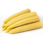 Canned Baby Corn/Young Corn