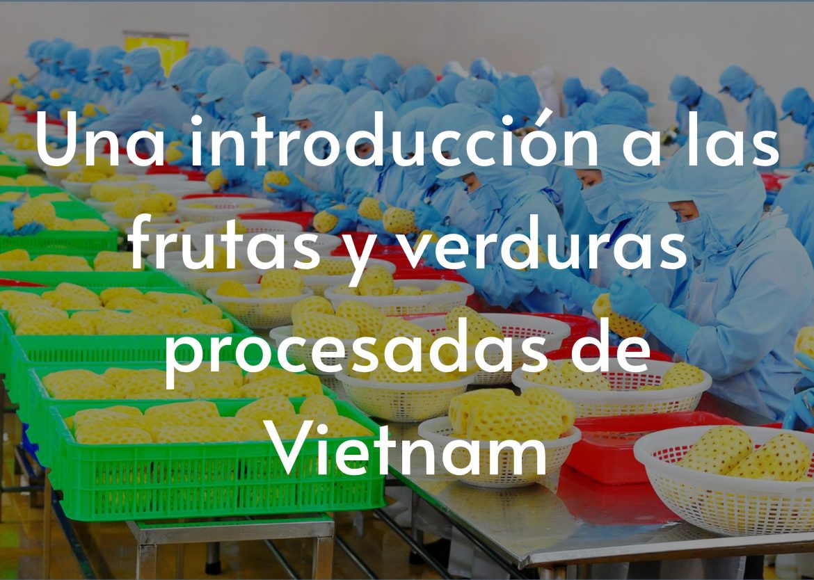 Feature Image for Viego Global (69)