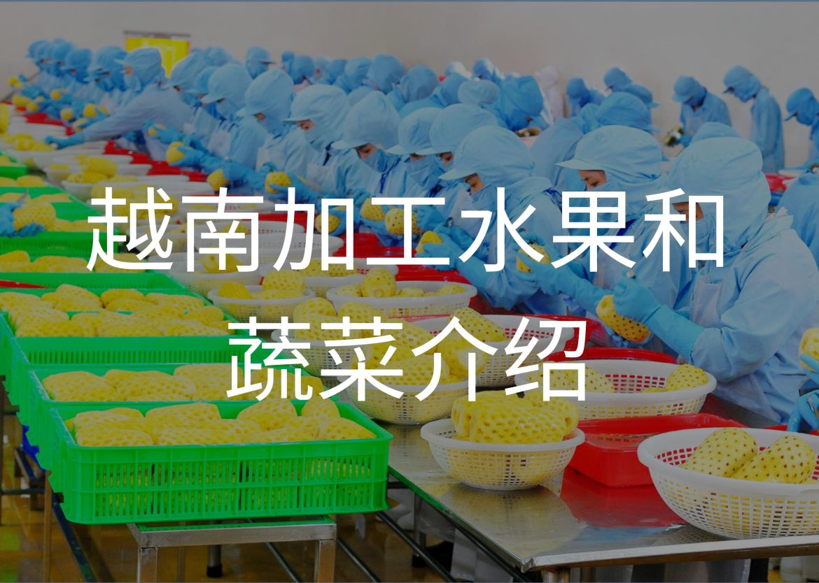 Feature Image for Viego Global (70)