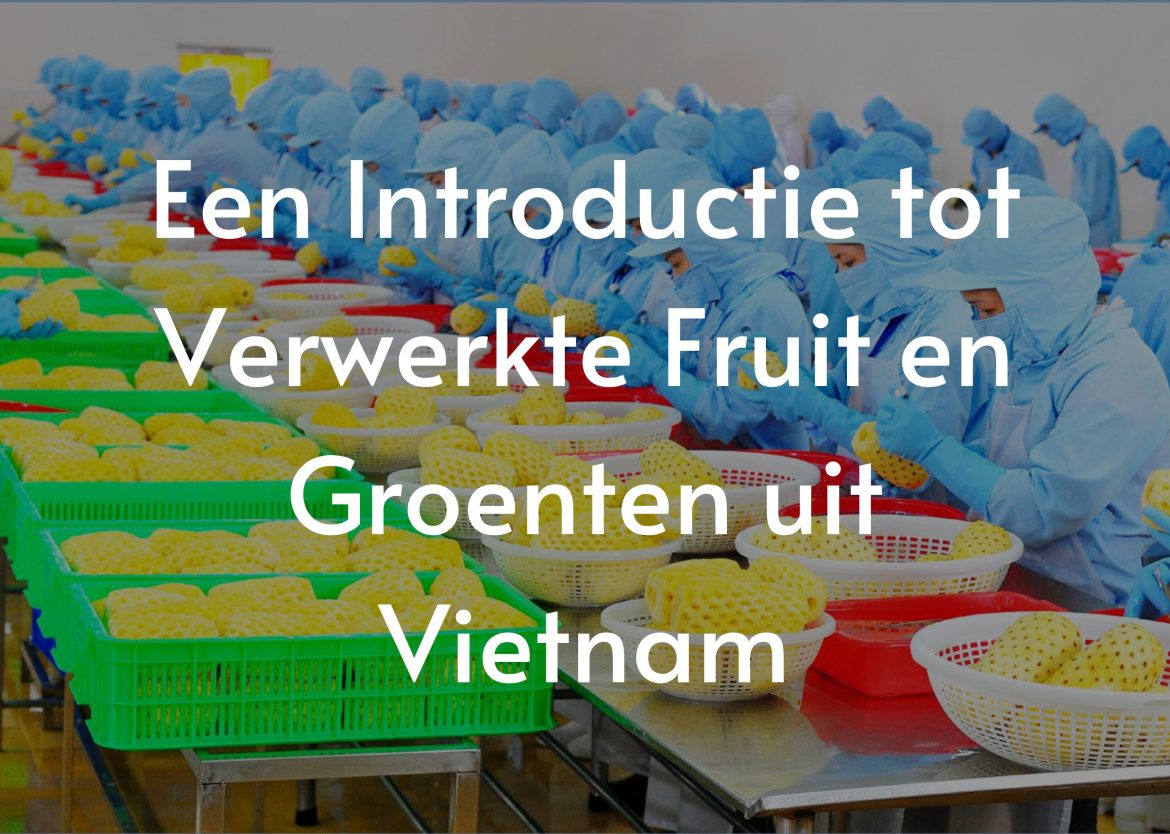 Feature Image for Viego Global (77)