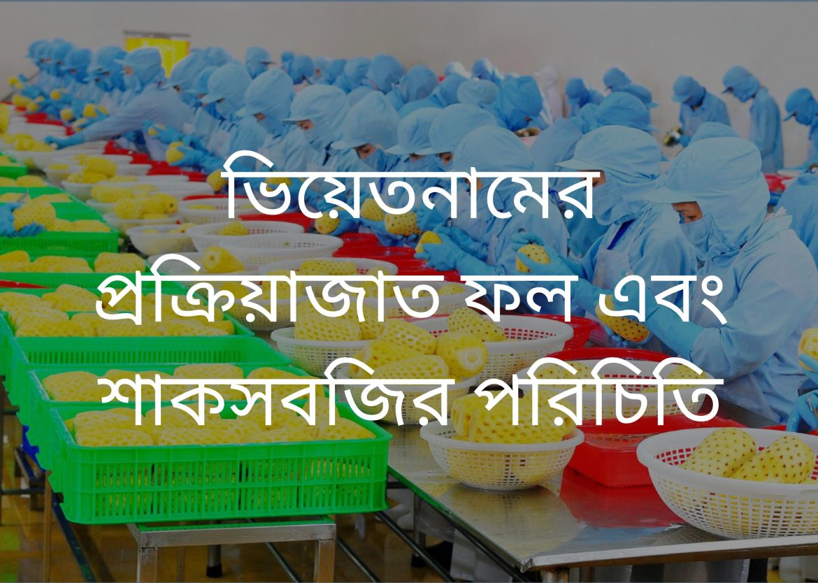 Feature Image for Viego Global (78)