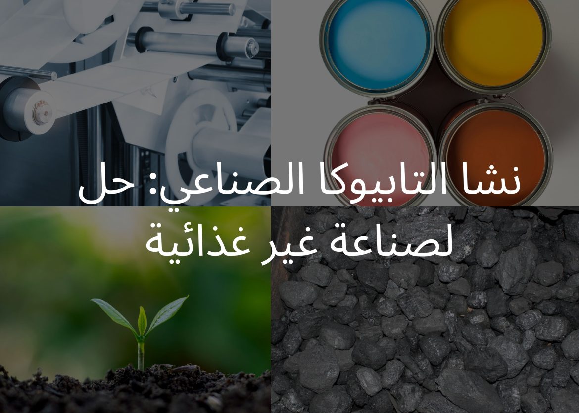 Feature Image for Viego Global (10)