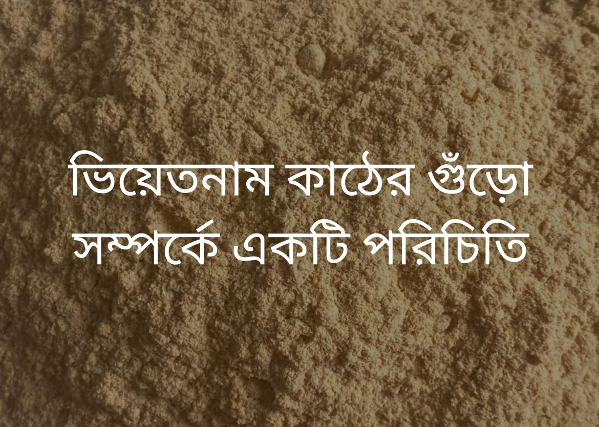 Feature Image for Viego Global