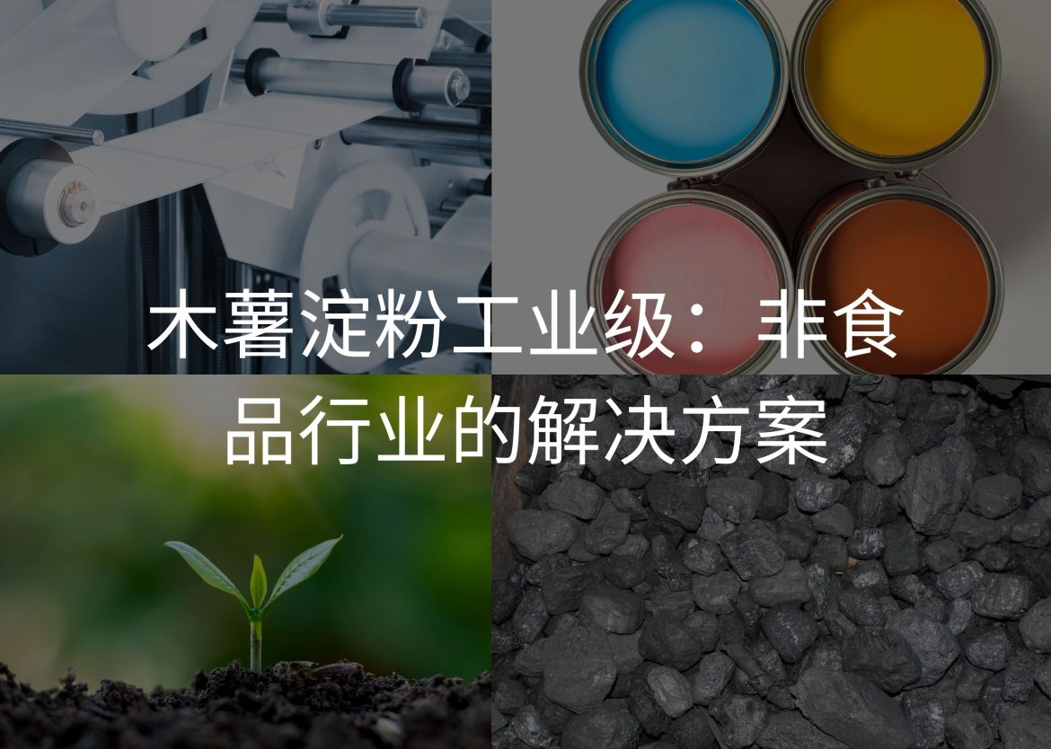 Feature Image for Viego Global (16)