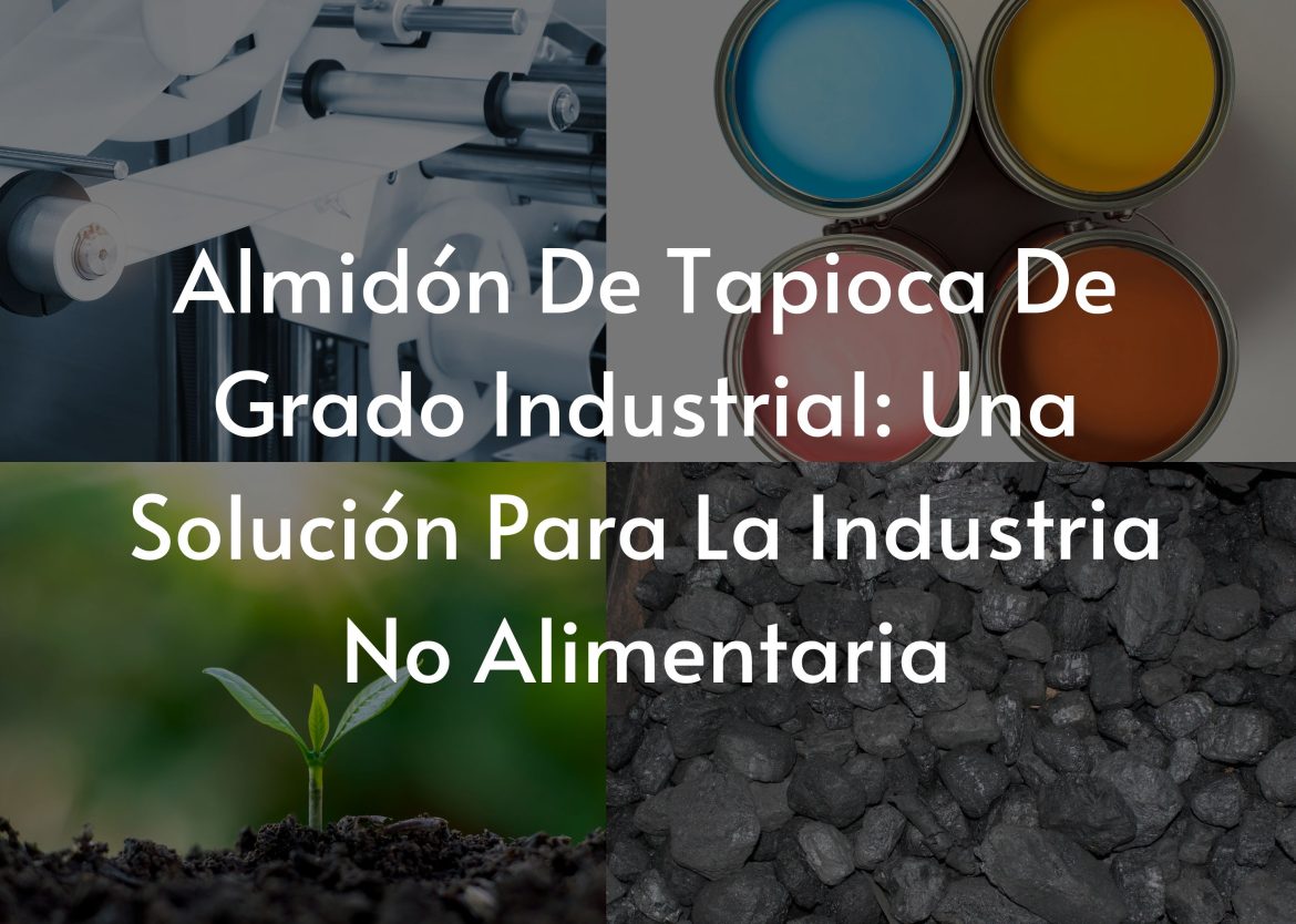 Feature Image for Viego Global (17)