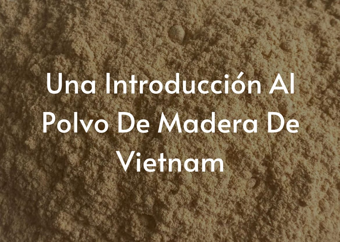 Feature Image for Viego Global (2)